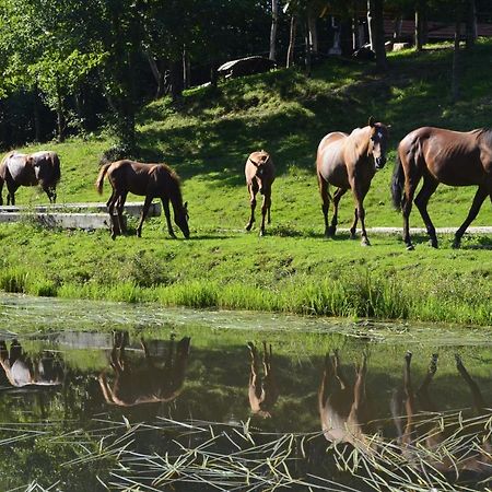 Gospodarstwo Agroturystyczne "Paryja" Olpiny ภายนอก รูปภาพ