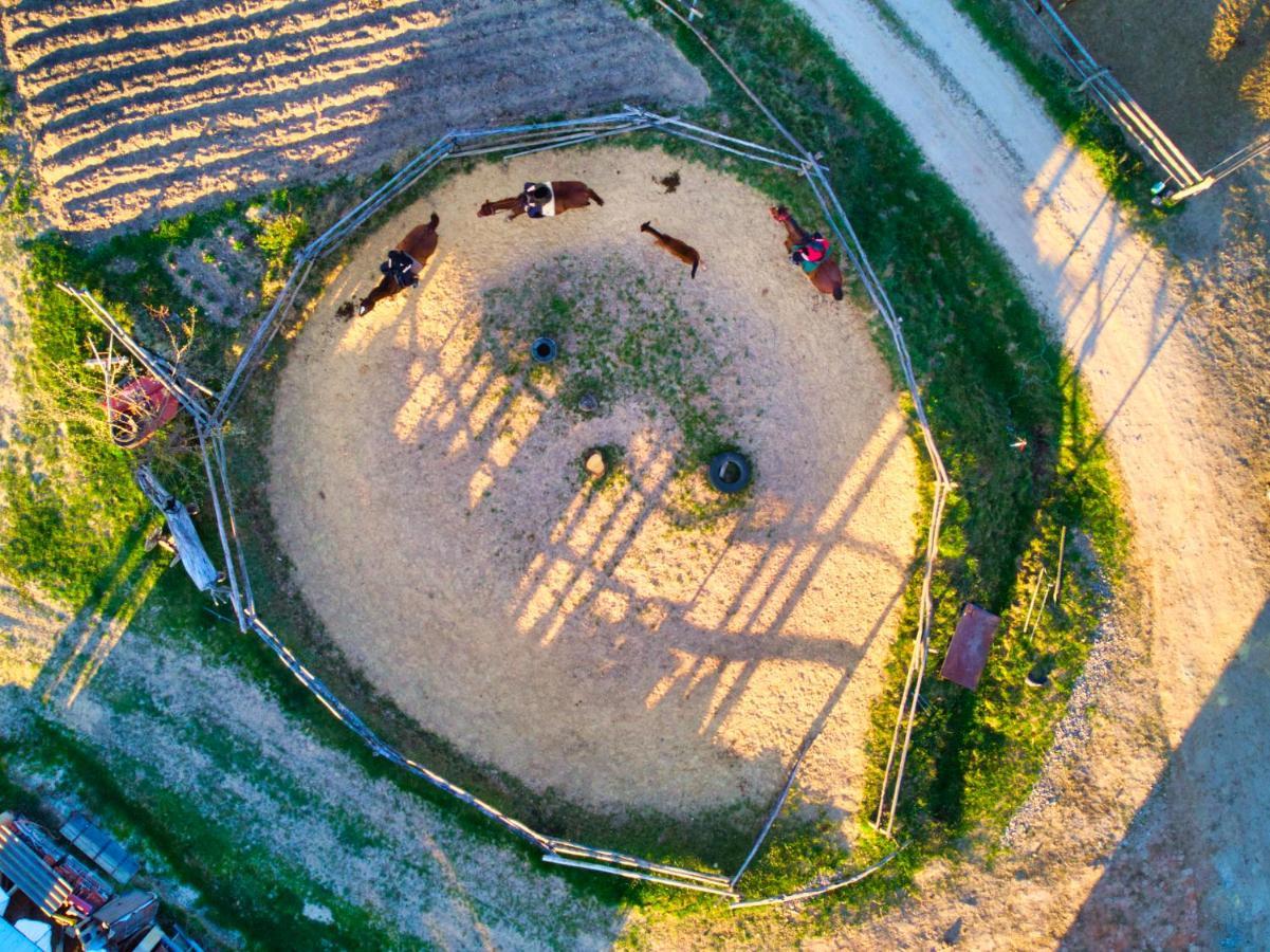 Gospodarstwo Agroturystyczne "Paryja" Olpiny ภายนอก รูปภาพ